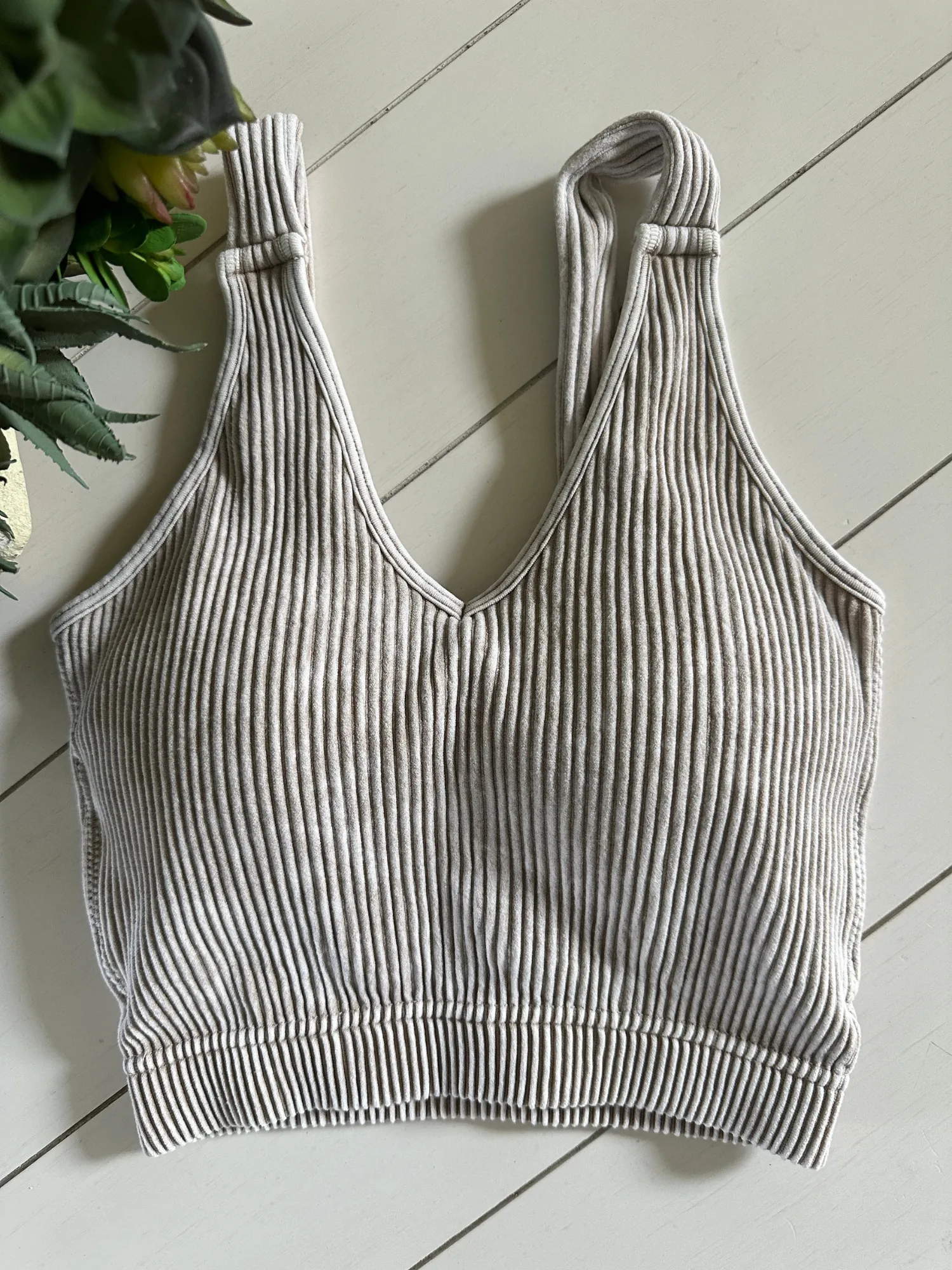 Cropped Rib Padded Bralette in Ash Mocha